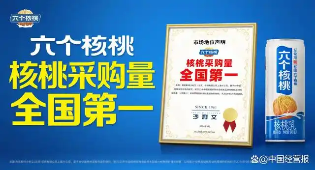 �����|jinnianhui����ᡤ(��������)��������